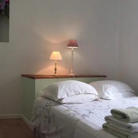 스튜디오 플로리얼 3* 니스